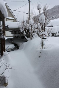 玄関前から車庫まで・・・