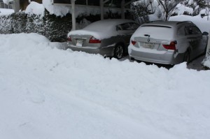 除雪車後の土手・・・(ノД`)・゜・。 